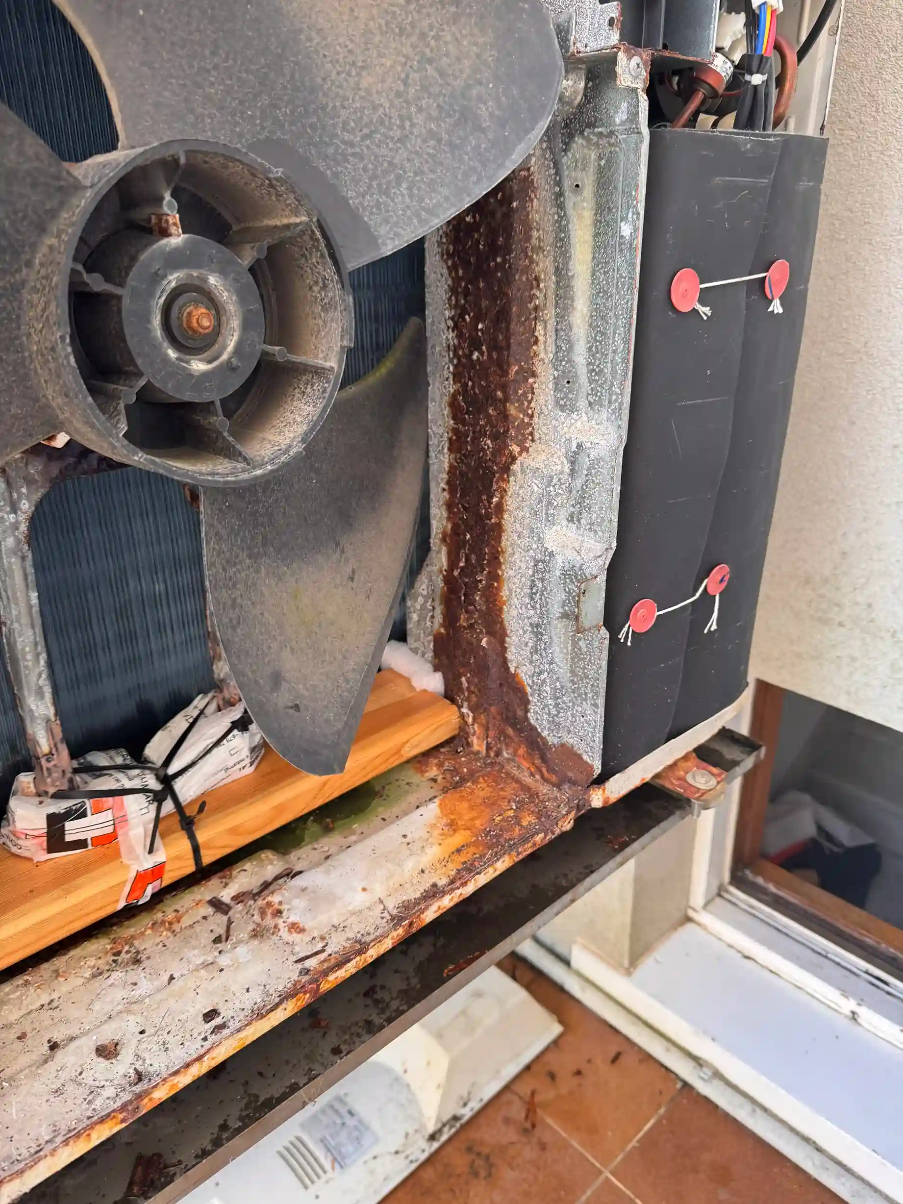 Estructura interna completamente oxidada